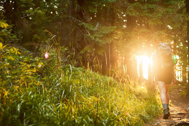 Leave nature as you found it: 7 principles of the "Leave No Trace" initiative